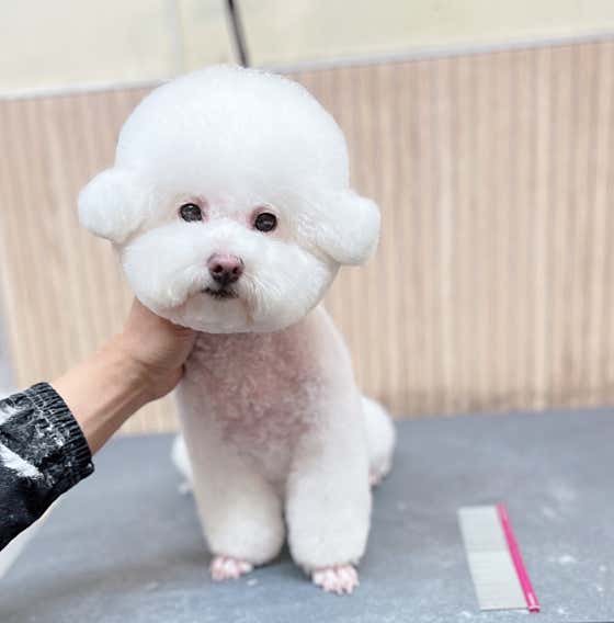 멍스타일 · 네이버 지도·플레이스 2