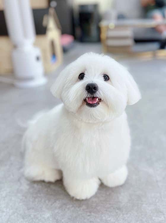 멍스타일 · 네이버 지도·플레이스 9