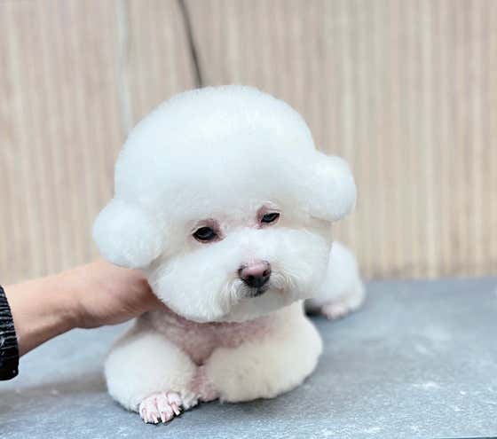 멍스타일 · 네이버 지도·플레이스 3
