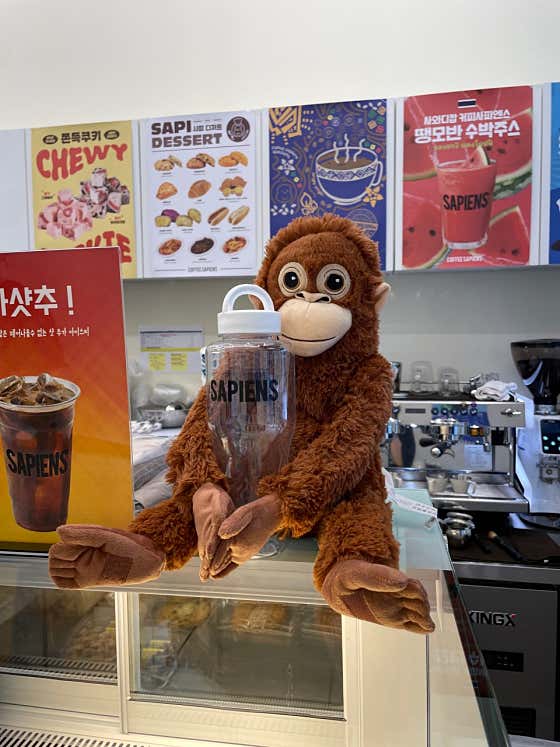 커피사피엔스 과천어반허브점