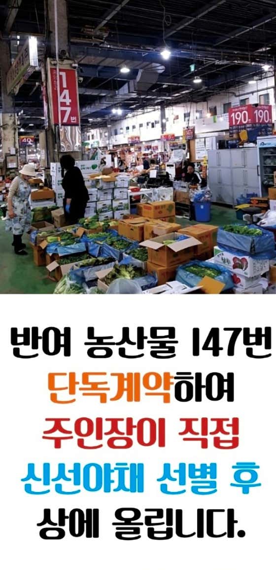제주바른돼지 · 네이버 지도·플레이스 4