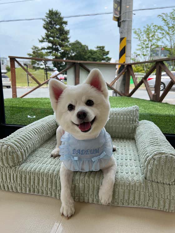 다듬 · 네이버 지도·플레이스 6
