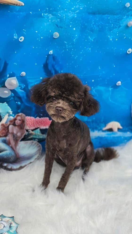 멈머쌀롱 · 네이버 지도·플레이스 5