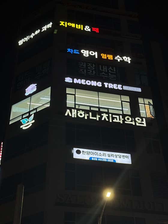 멍트리 울산애견유치원 울산애견호텔 · 네이버 지도·플레이스 4