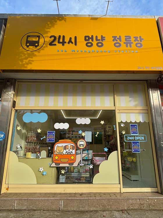 24시 멍냥 정류장