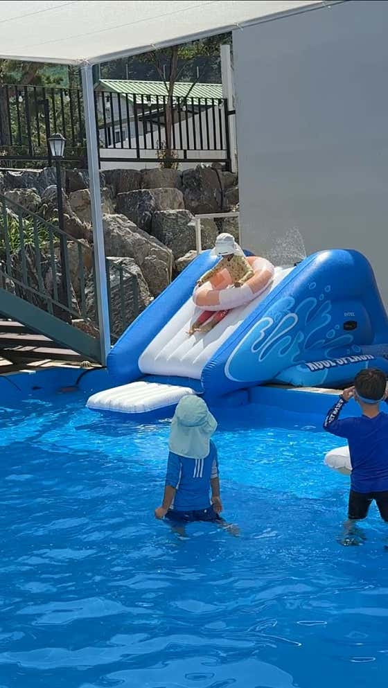 카페선암리