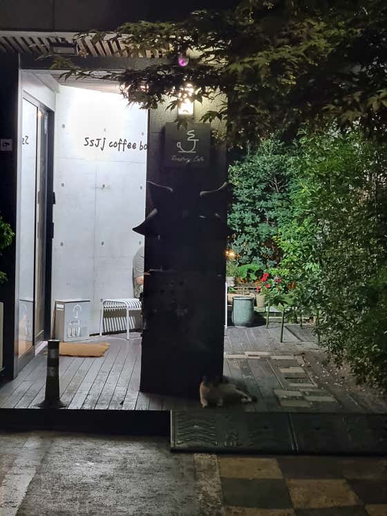 SSJJ COFFEE BAR · 네이버 지도·플레이스 7