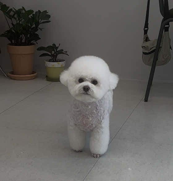 순댕순댕 · 네이버 지도·플레이스 7