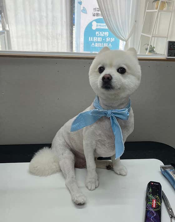 순댕순댕 · 네이버 지도·플레이스 8