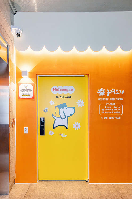 놀러오개 애견유치원 애견호텔 수유점 · 네이버 지도·플레이스 6