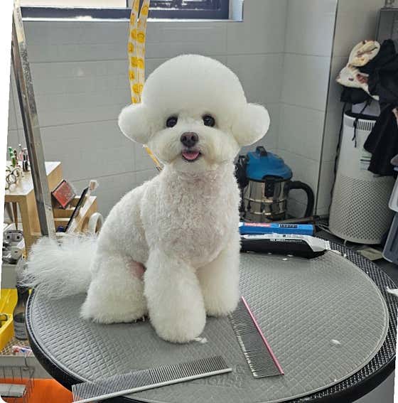 제주멍 · 네이버 지도·플레이스 10
