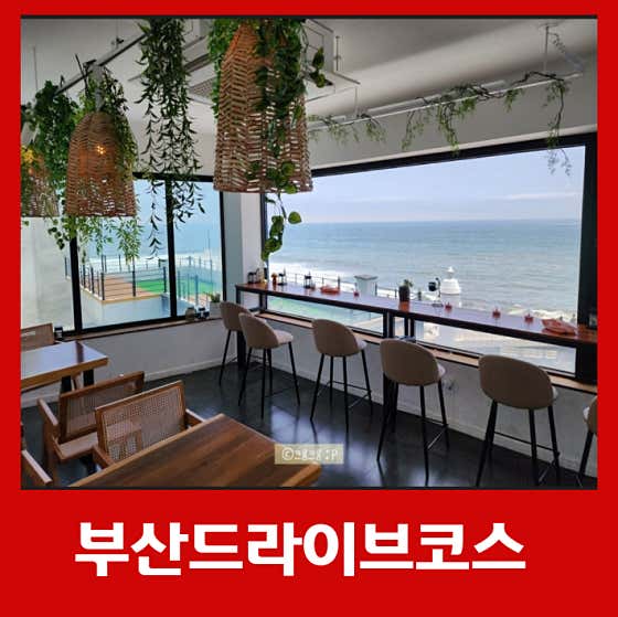 청사포바다라면카페 해운대청사포점
