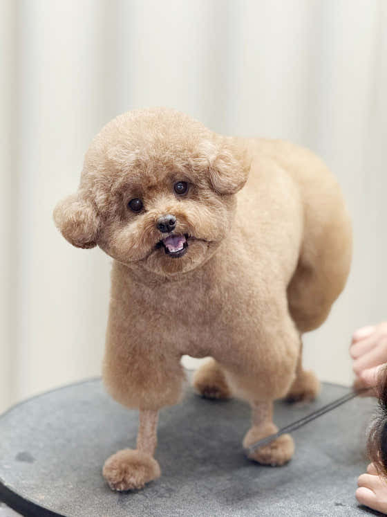 알토 · 네이버 지도·플레이스 1