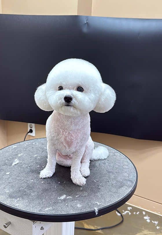알토 · 네이버 지도·플레이스 9