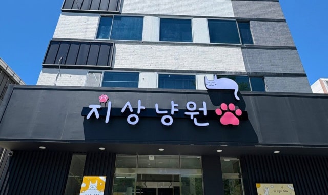 지상냥원 대표 사진