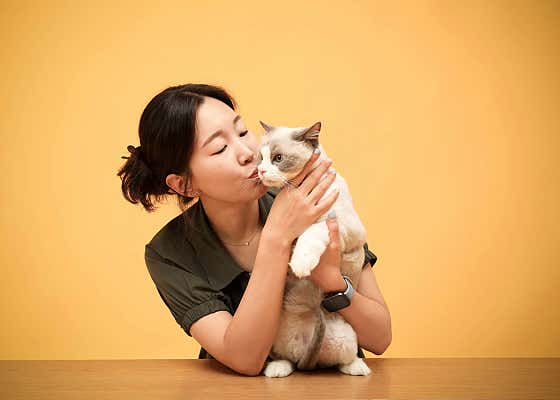 파주고양이미용 호텔 야옹아놀자