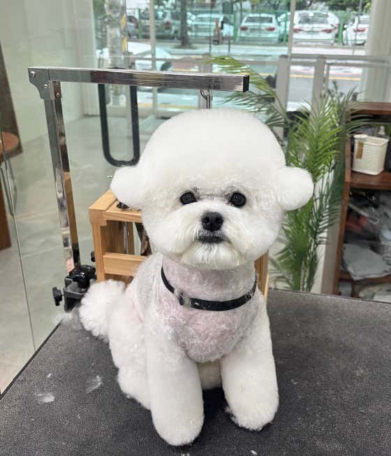 무거동 봄이네 · 네이버 지도·플레이스 4