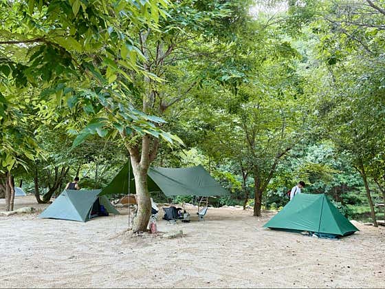 도마치자연그대로캠핑장 · 네이버 지도·플레이스 2