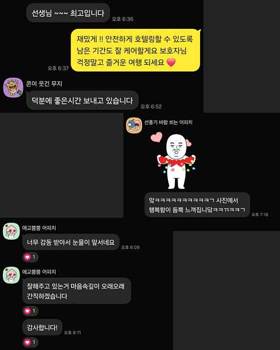 독티비티 반려견 트레이닝 센터 · 네이버 지도·플레이스 6
