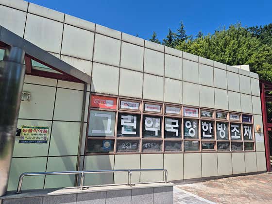 그린약국
