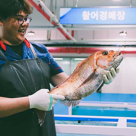 성산포수협 활어회센터