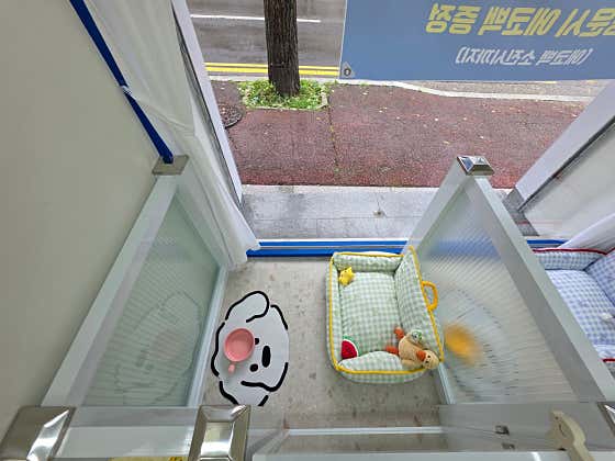 미호미소 · 네이버 지도·플레이스 9