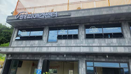 해피애견센터 · 네이버 지도·플레이스 8