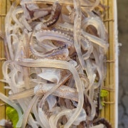산 오징어 회 메뉴 사진(네이버)