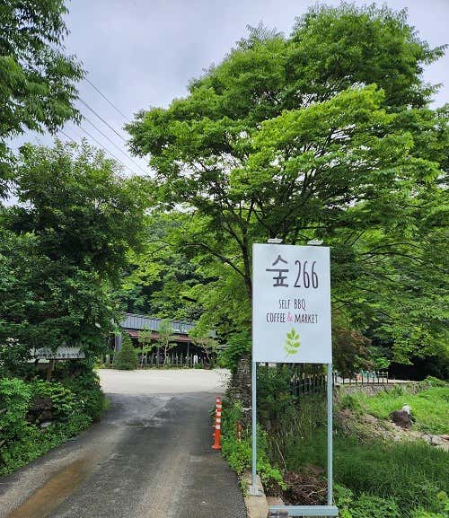 숲266 카페