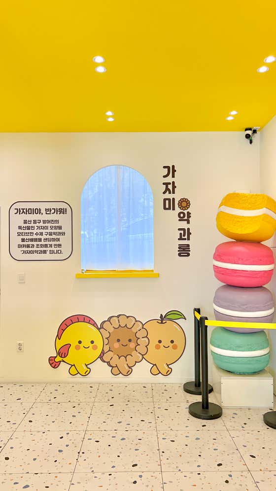 김씨네마카롱공장 · 네이버 지도·플레이스 5
