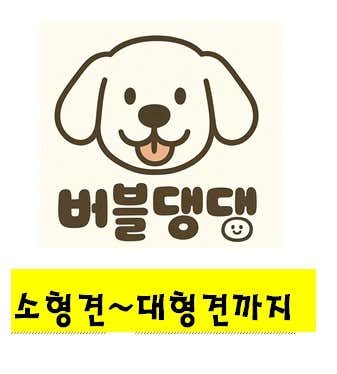 버블댕댕