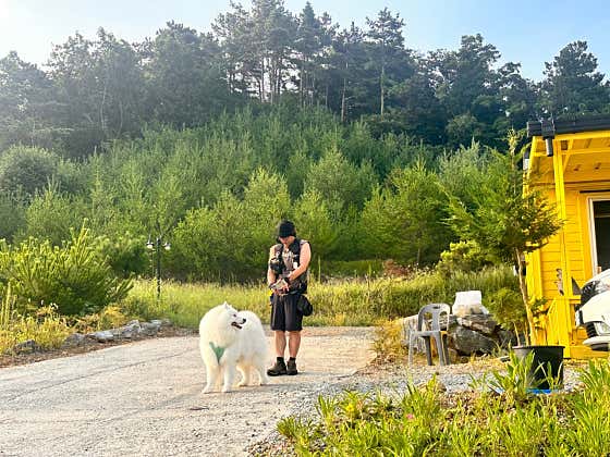 뜰에별 · 네이버 지도·플레이스 4