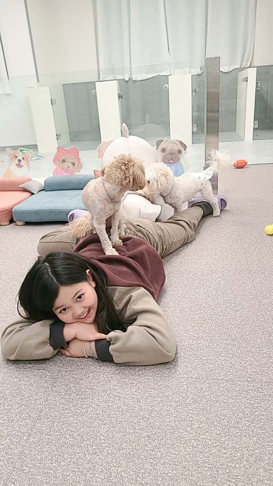 이쁘개 애견미용 애견호텔 · 네이버 지도·플레이스 3