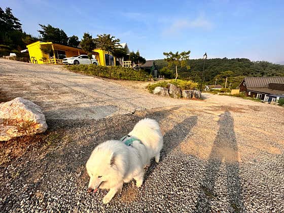 뜰에별 · 네이버 지도·플레이스 3