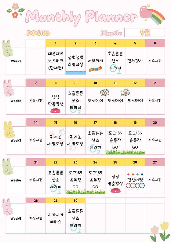 도그185 애견유치원&애견호텔 · 네이버 지도·플레이스 3
