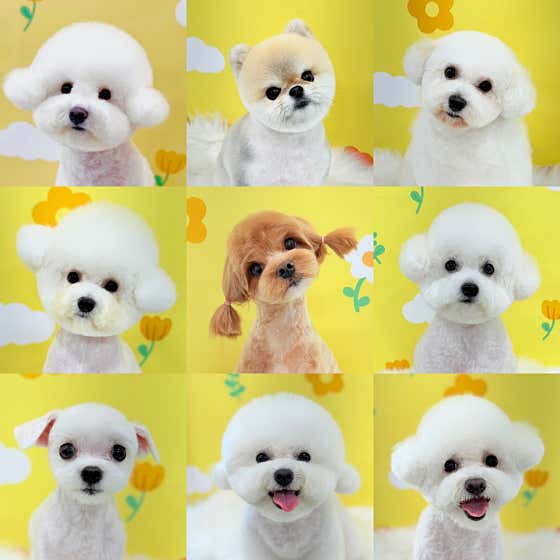 딥잉 산본점 · 네이버 지도·플레이스 9