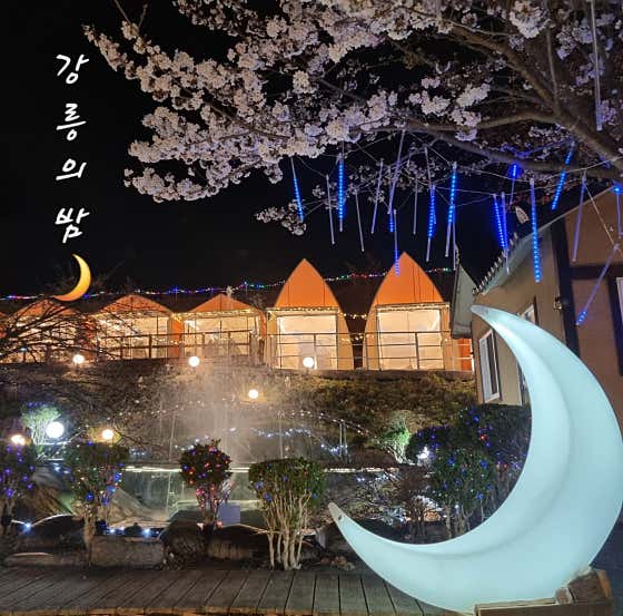 강릉의밤 · 네이버 지도·플레이스 2