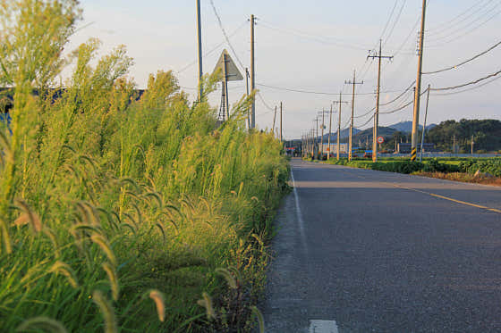 군산커피마을 · 네이버 지도·플레이스 10
