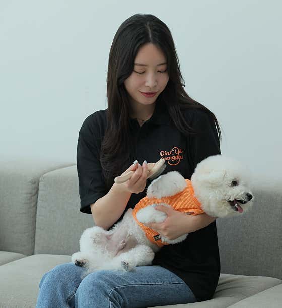 딩굴댕굴 애견미용 송탄점 · 네이버 지도·플레이스 2