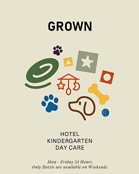 grown 독 피트니스&애견유치원&강아지호텔 · 네이버 지도·플레이스 5