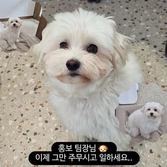 너를 위한 우주 · 네이버 지도·플레이스 8