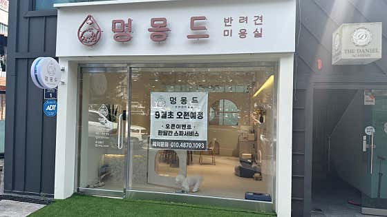 멍몽드 · 네이버 지도·플레이스 5