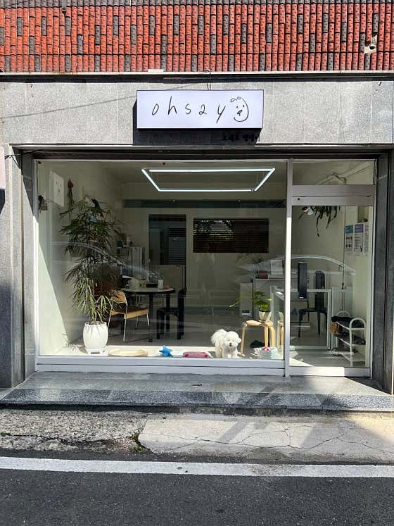 오세요댕댕이 · 네이버 지도·플레이스 2