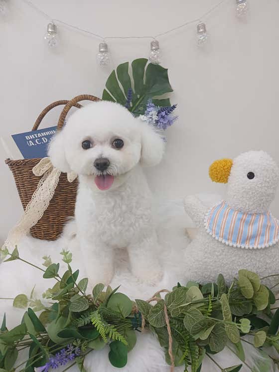 꾸미멍 · 네이버 지도·플레이스 3