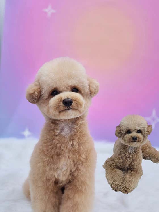 너를 위한 우주 · 네이버 지도·플레이스 10