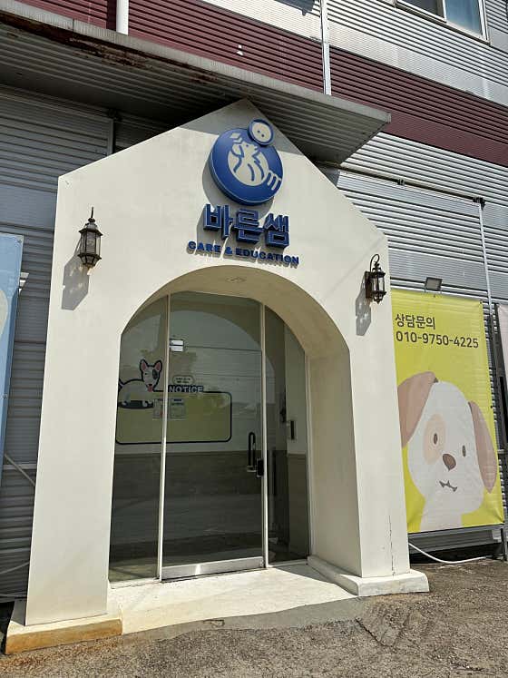 바른샘 반려견 유치원 대표이미지
