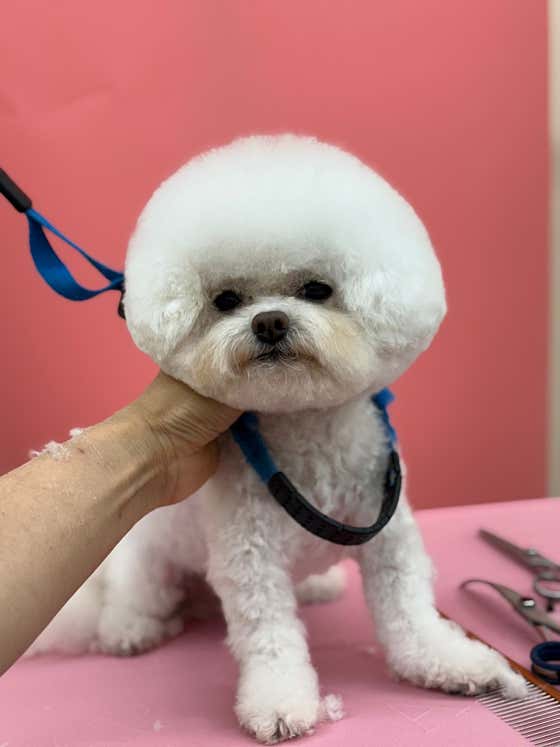 양파살롱 · 네이버 지도·플레이스 10
