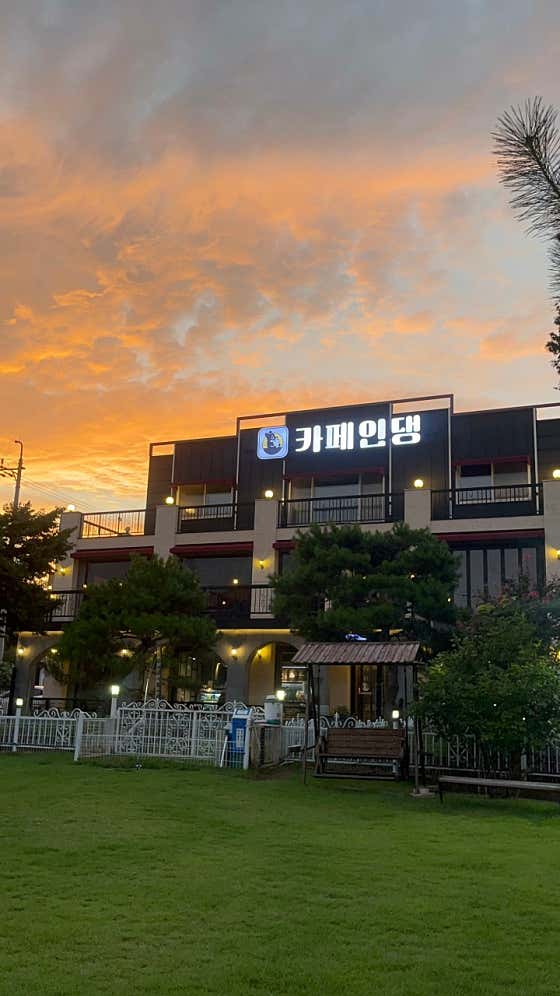 카페인댕 · 네이버 지도·플레이스 2