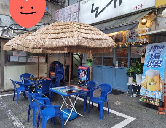 노가