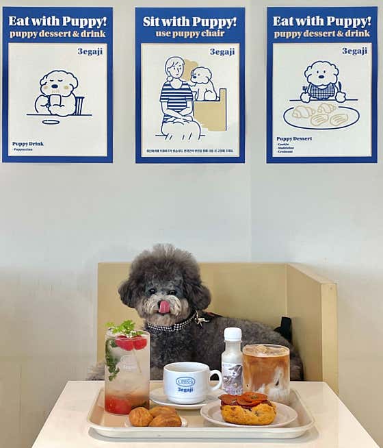 세가지